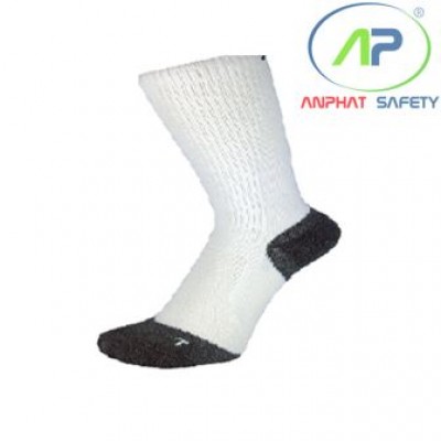 Vớ chân REGULAR ARCHFIT dài